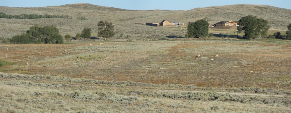 Encampment: Antelope - West End (on Hwy 70).